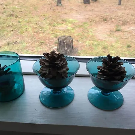 12264-sjaellands-odde-faellesskoven-29 בית נופש Tjørneholm