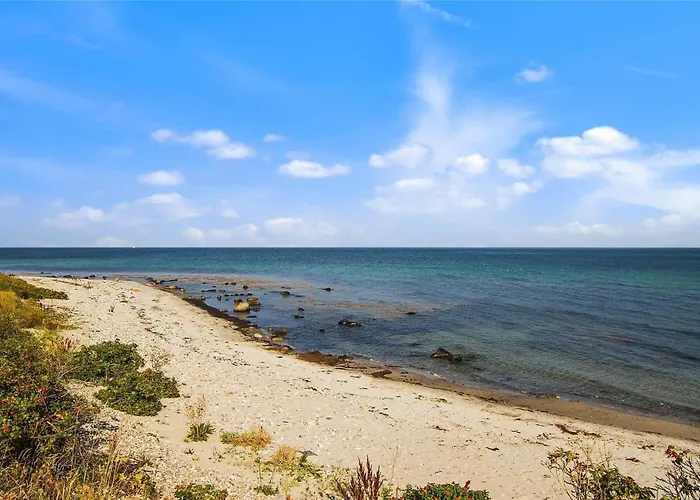 בית נופש 12264-sjaellands-odde-faellesskoven-29 Tjørneholm